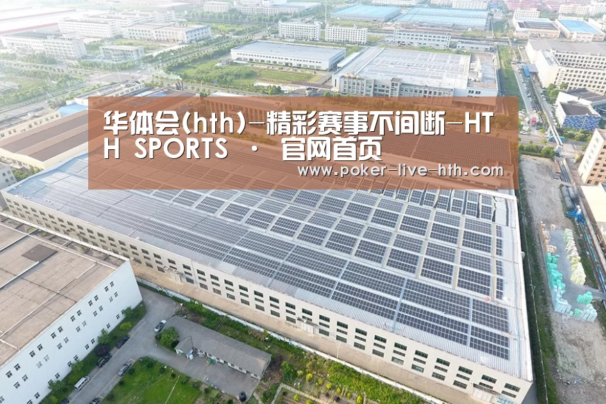 案例展示二