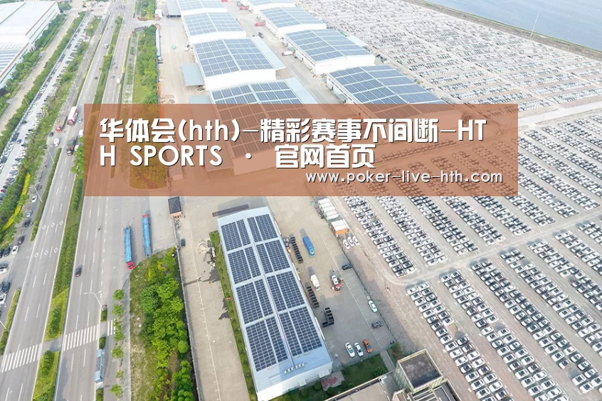案例展示一
