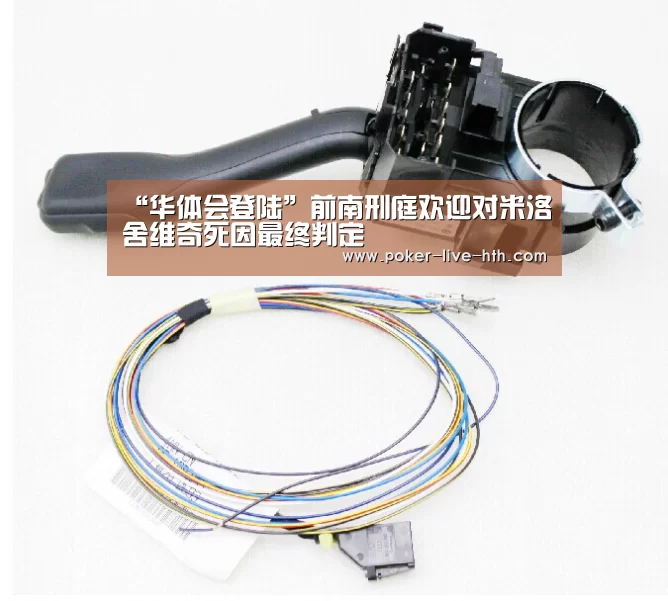 “华体会登陆”前南刑庭欢迎对米洛舍维奇死