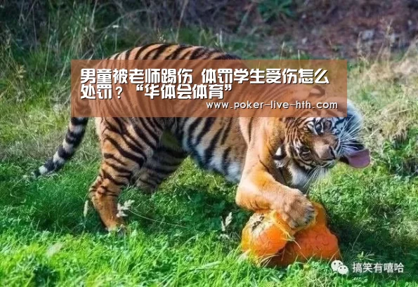 男童被老师踢伤 体罚学生受伤怎么处罚?“华体会体育”(图2) 华体会登陆