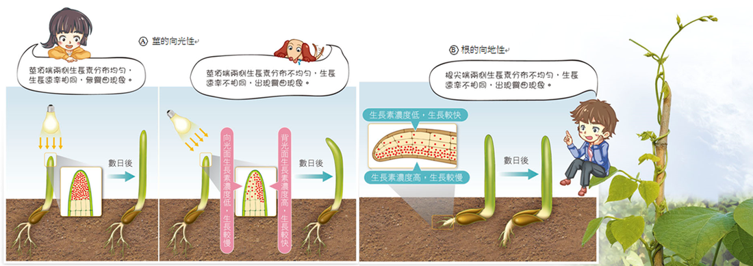 “华体会棋牌”皇马巨大笑话:卖了一夏天贝尔 现在靠他救主 真香!(图2) 华体会棋牌